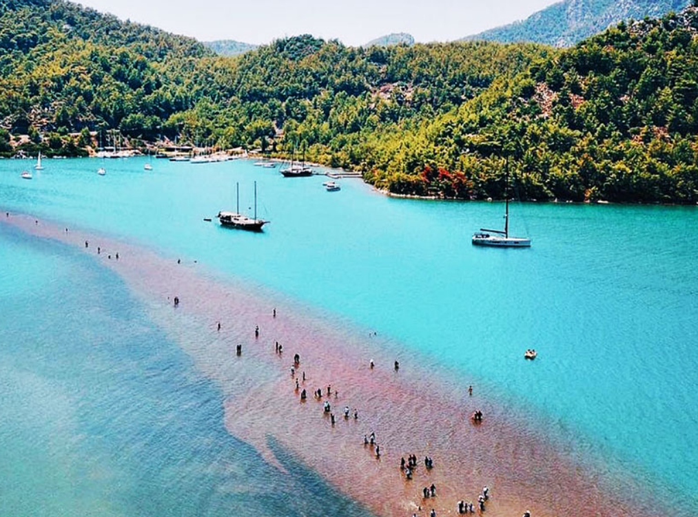 Orhaniye